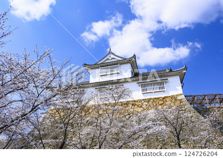 Tsuyama城堡充滿了櫻花 124726204