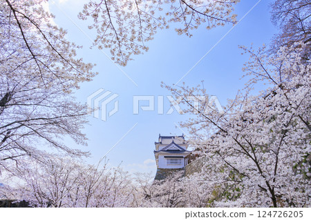 Tsuyama城堡充滿了櫻花 124726205