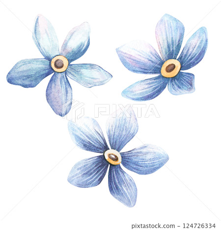 Forget-me-not set. Romantic isolated watercolor illustration of blue flowers in vintage style. Perfect for botanical design, love and natural decoration, greeting cards, invitation, labels, textiles. 124726334