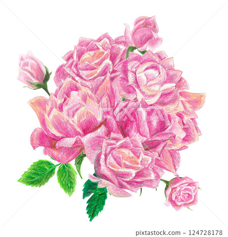 Isolated handdrawn illustration with roses 124728178