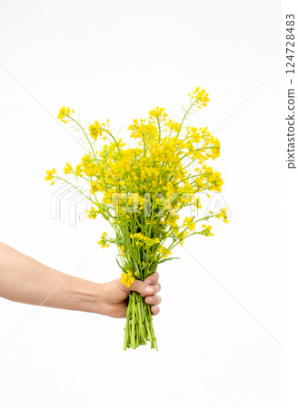 Hand holding yellow flowers on white background 124728483
