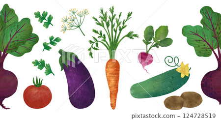 Seamless vegetable border: beetroot, carrot, tomato, potato, eggplant, radish, cucumber, parsley, dill. An element for decorating dishes 124728519
