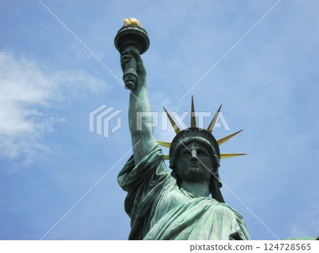 the statue of Liberty the statue of Liberty 124728565