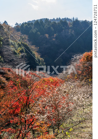 Scenery of Shikizakura Village 124728711