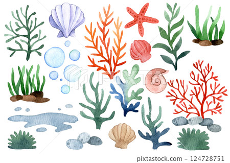 Watercolor Illustration of Sea Elements Starfish, Seashells, Coral, Seaweed, and Bubbles 124728751