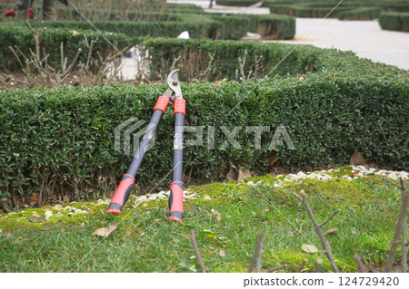 Various Gardening Tools Arranged Among Neatly Trimmed Green Hedge in a Beautiful Park Setting Various Gardening Tools Arranged Among Neatly Trimmed Green Hedge in a Beautiful Park Setting 124729420