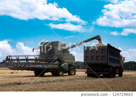 Green combine harvester is pulling grain into a truck Green combine harvester is pulling grain into a truck 124729683
