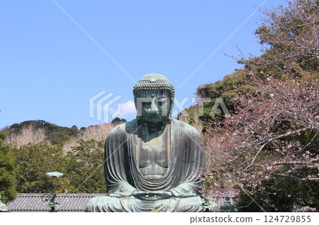 Great Buddha seated amongst cherry blossoms, Kamakura, Kanagawa Prefecture Great Buddha seated amongst cherry blossoms, Kamakura, Kanagawa Prefecture 124729855