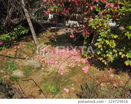 迷幻的神廟 124729916