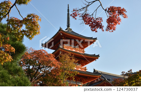 秋天的清水寺、三層寶塔和楓葉（京都市東山區） 124730037