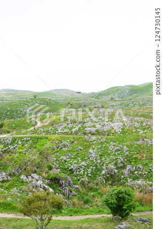 Akiyoshidai, a limestone karst plateau Akiyoshidai, a limestone karst plateau 124730145