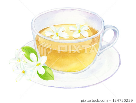 茉莉花茶水彩插圖 茉莉花茶水彩插圖 124730239