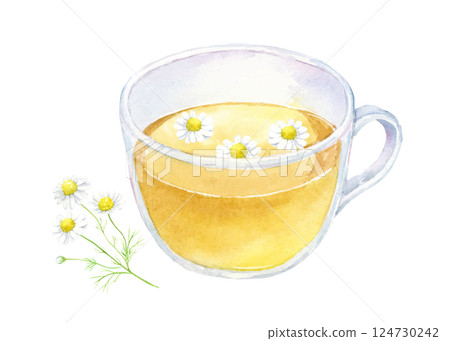 Chamomile tea watercolor illustration Chamomile tea watercolor illustration 124730242