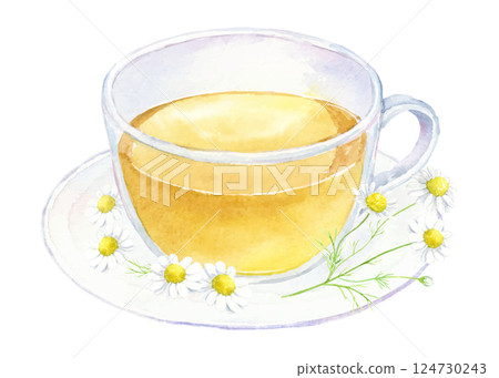 洋甘菊茶水彩插圖 洋甘菊茶水彩插圖 124730243