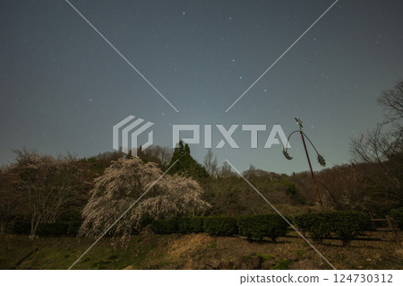 日本鳥取縣山上美麗的春天星空 日本鳥取縣山上美麗的春天星空 124730312
