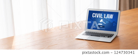 Civil law brisk information showing on computer screen for Common Justice 124730341