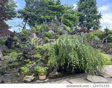 這是東京都東村山市大善院的一座綠色假山。 124731150