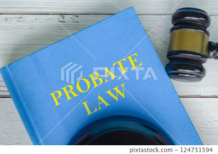 Top view of Probate Law book with gavel background Top view of Probate Law book with gavel background 124731594