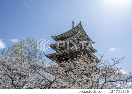 Kakuozan Nittaiji Temple in Spring 124731826