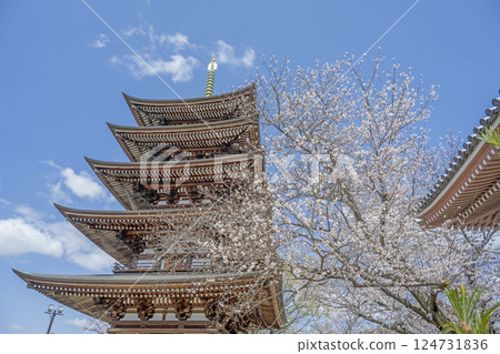 春天的角王山二太寺 春天的角王山二太寺 124731836