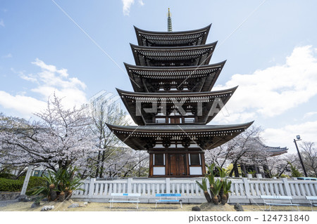 春天的角王山二太寺 春天的角王山二太寺 124731840