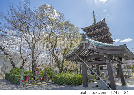 Kakuozan Nittaiji Temple in Spring 124731843