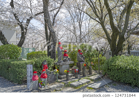 Kakuozan Nittaiji Temple in Spring Kakuozan Nittaiji Temple in Spring 124731844