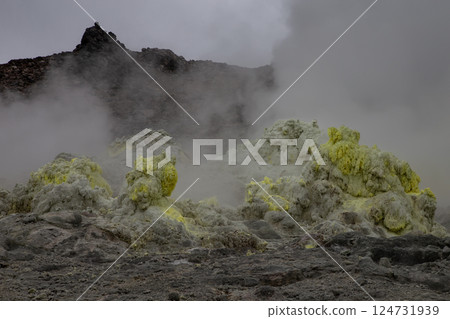 Iwooshima提高羽毛 124731939