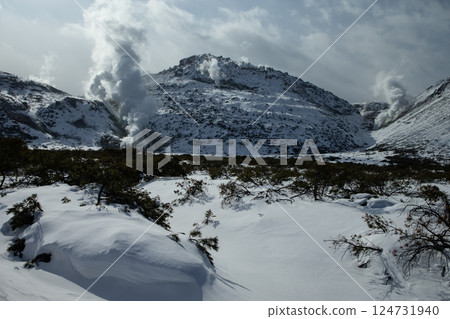 Iwooshima提高羽毛 124731940