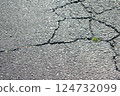 Cracked asphalt Cracked asphalt 124732099