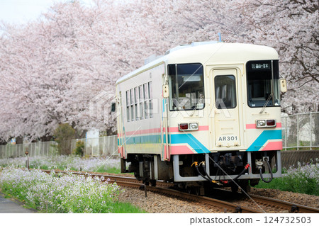 櫻花盛開和鐵路巴士（天城鐵道 AR300 型） 124732503