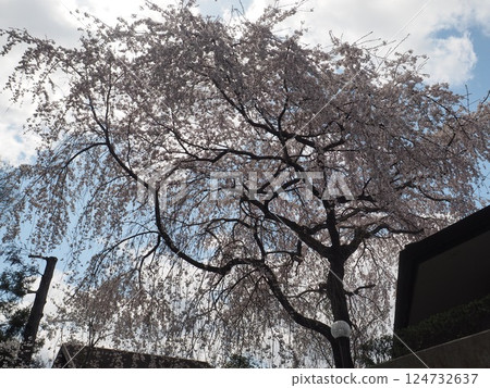 哲學的方式 124732637