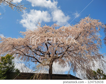 哲學的方式 124732638