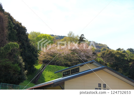 南野健行.4(岐阜縣海津市) 南野健行.4(岐阜縣海津市) 124732653