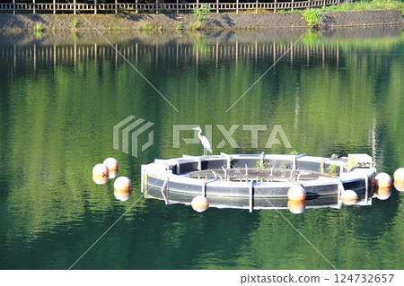 井吉拉湖健行1（岐阜縣山形市） 124732657