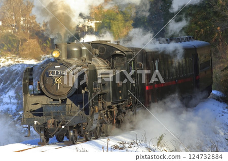 Winter Moka Railway SL 124732884