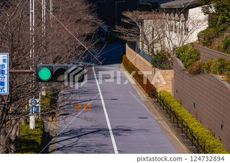 Shinagawa Station area 124732894