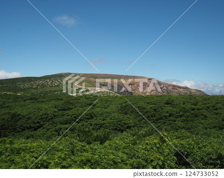 Zao's pot Zao's pot 124733052