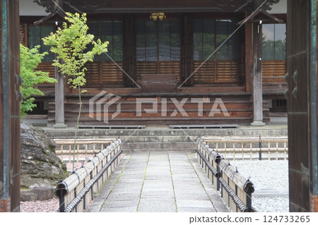 曼陀羅寺的紫藤(愛知縣湖南)・49 曼陀羅寺的紫藤(愛知縣湖南)・49 124733265