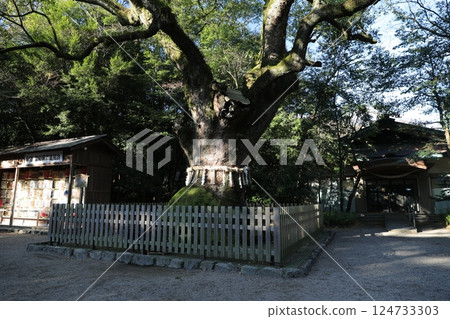 Shinto Shinto 124733303