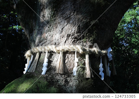 注連繩 注連繩 124733305