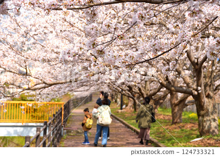 Sakura, Sakura, Sakura 124733321