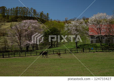 Spring Thoroughbred Ranch 124733427