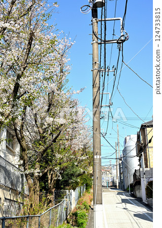Tokyo Yoyogi-Uehara Station, a quiet, high-end residential area, cherry blossom scenery Tokyo Yoyogi-Uehara Station, a quiet, high-end residential area, cherry blossom scenery 124733815