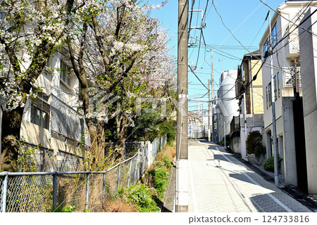東京代代木上原站,安靜的高級住宅區,櫻花美景 東京代代木上原站,安靜的高級住宅區,櫻花美景 124733816