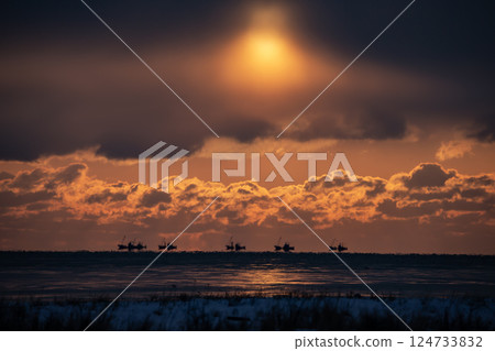 根室海峽的早晨 124733832