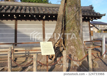 Mandala Temple in Spring 3 (Konan City, Aichi Prefecture) Mandala Temple in Spring 3 (Konan City, Aichi Prefecture) 124733966