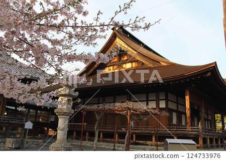 春季曼陀羅寺13（愛知縣湖南市） 124733976