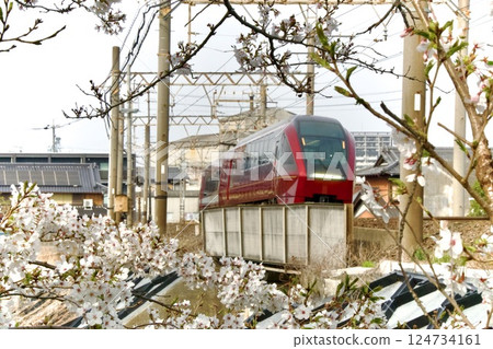 盛開的櫻花和近鐵特急一人取 124734161