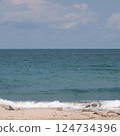 Horizon for background 124734396